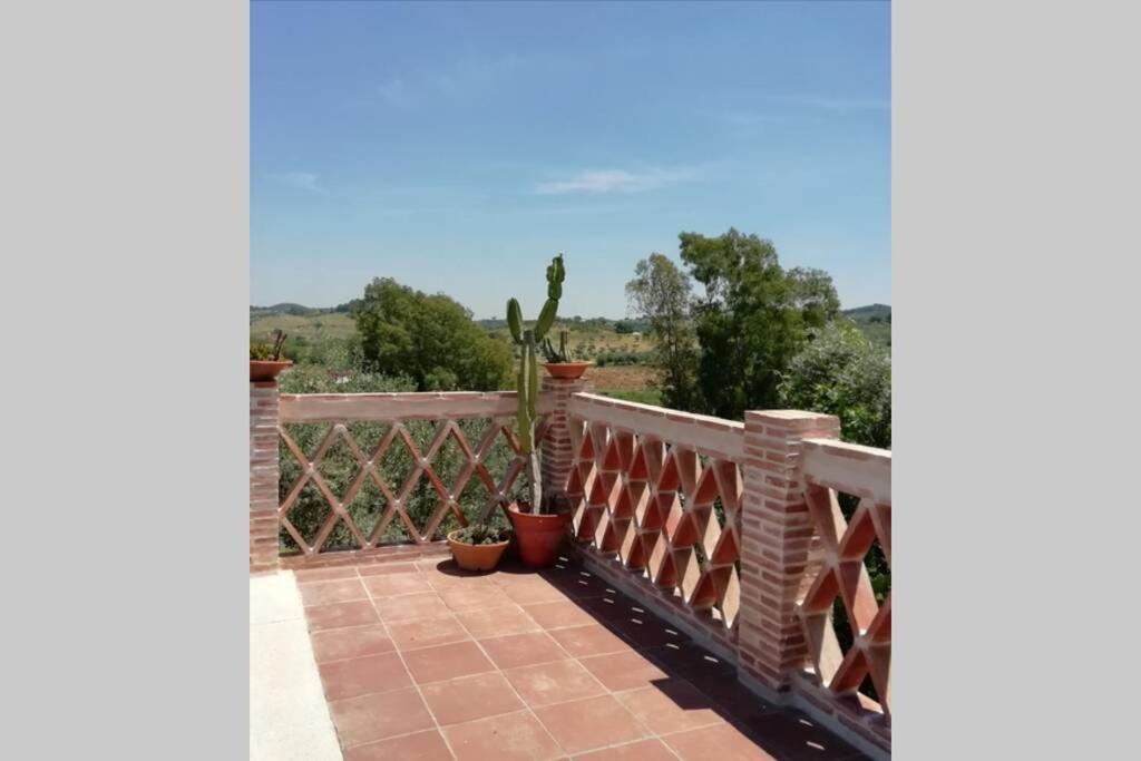 Casa Rural La Vega Cazalla de la Sierra Exteriör bild